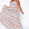 Asoph Plus Size Floral Striped Maxi Flare Dress