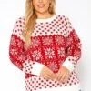 Asoph Plus Size Snow Flake Print Knit Sweater