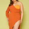 Plus Size One Sleeve Asymmetric Dress