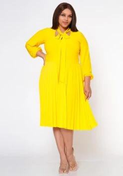 Plus Size Bow Collar Pleated Fit & Flare Dress