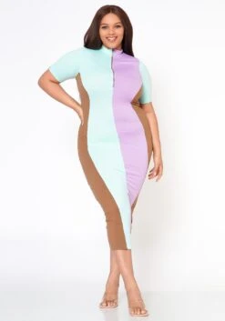 Plus Size Color Block Zip Front Bodycon Dress